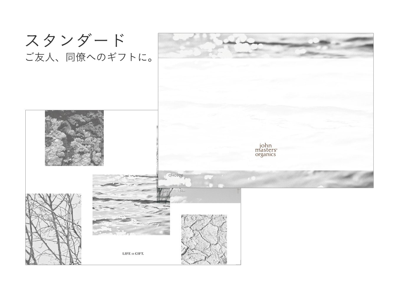 card02.jpg